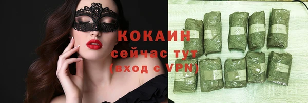 сатива Баксан