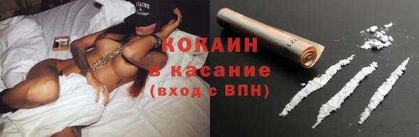 сатива Баксан