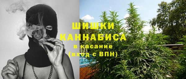 сатива Баксан